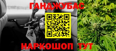 сатива Моздок