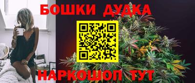 сатива Моздок